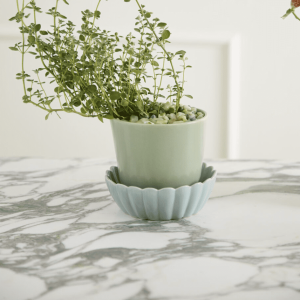 Springvale Pot w/ Saucer, Green